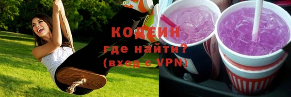 дурь Арсеньев