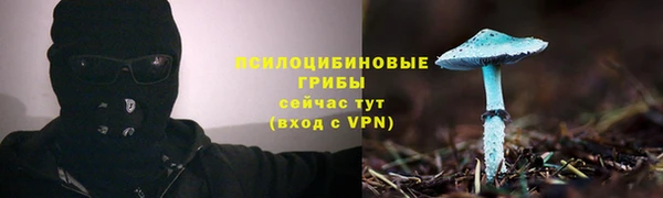 кокс Аркадак