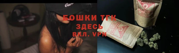 кокс Аркадак